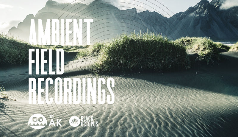 Ambient Field Recordings by AK