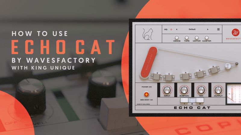 Wavesfactory Echo Cat with King Unique