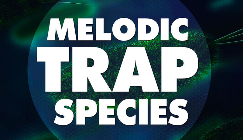 Melodic Trap Species